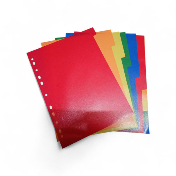 Imagen de SEPARADOR DE 10 DIVISIONES DE COLORES