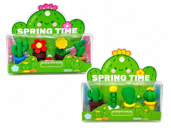 Imagen de SET X 4 GOMAS DE BORRAR CACTUS Y FLORES